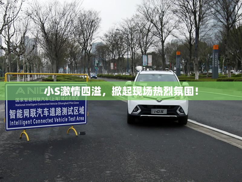 小S激情四溢，掀起现场热烈氛围！