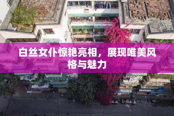 白丝女仆惊艳亮相，展现唯美风格与魅力