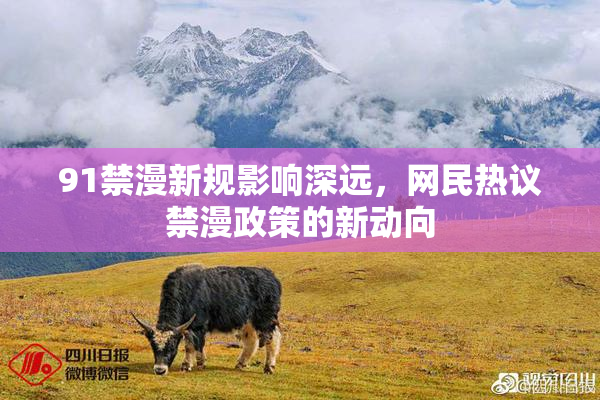 91禁漫新规影响深远，网民热议禁漫政策的新动向