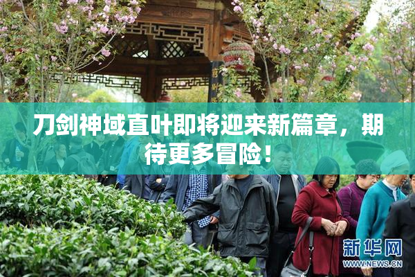 刀剑神域直叶即将迎来新篇章，期待更多冒险！