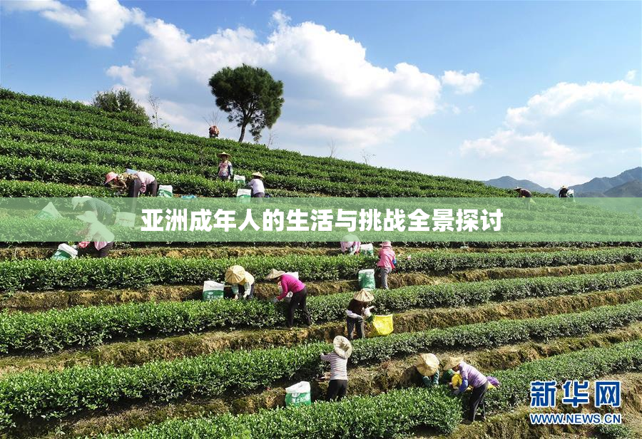 亚洲成年人的生活与挑战全景探讨