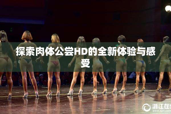 探索肉体公尝HD的全新体验与感受