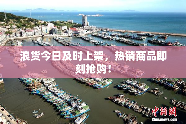 浪货今日及时上架，热销商品即刻抢购！