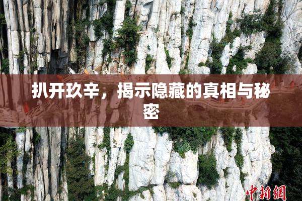 扒开玖辛，揭示隐藏的真相与秘密