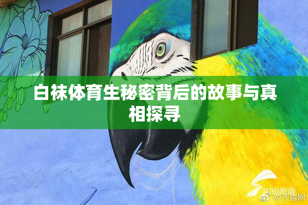 白袜体育生秘密背后的故事与真相探寻