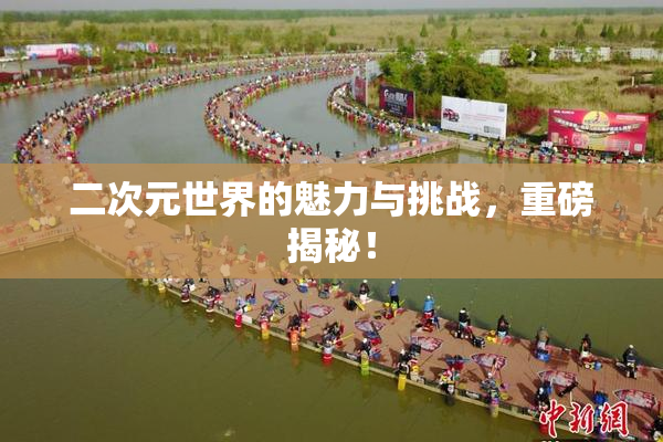 二次元世界的魅力与挑战，重磅揭秘！
