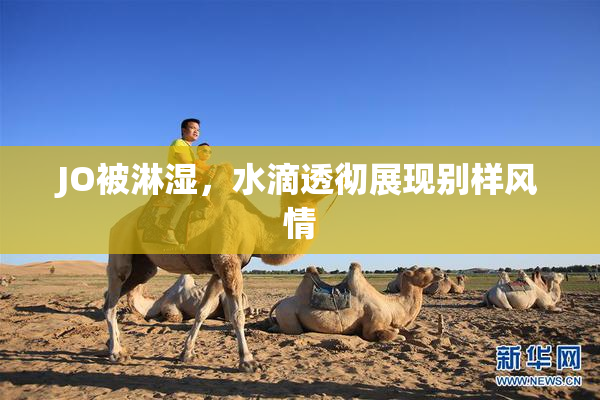 JO被淋湿，水滴透彻展现别样风情
