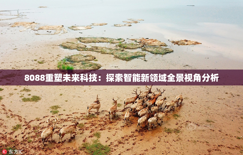 8088重塑未来科技：探索智能新领域全景视角分析