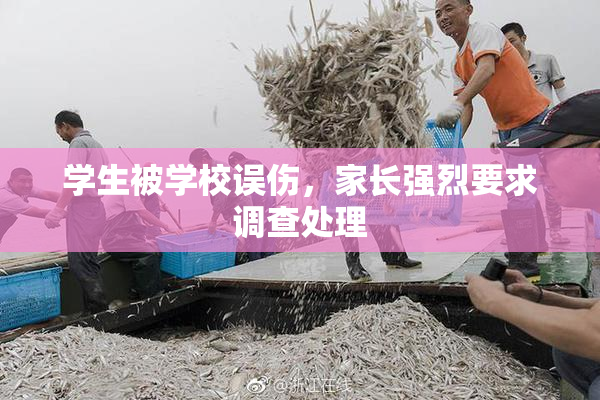 学生被学校误伤，家长强烈要求调查处理