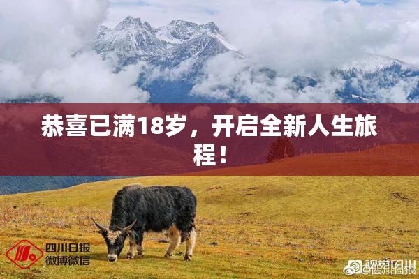 恭喜已满18岁，开启全新人生旅程！
