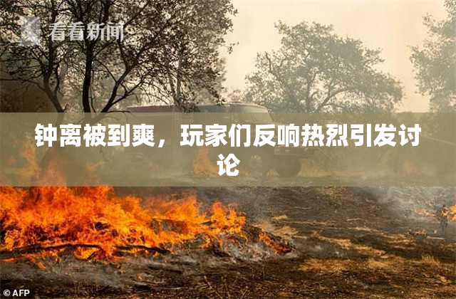 钟离被到爽，玩家们反响热烈引发讨论