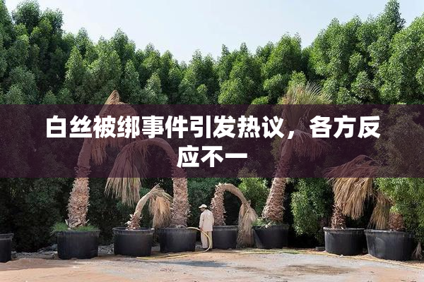 白丝被绑事件引发热议，各方反应不一