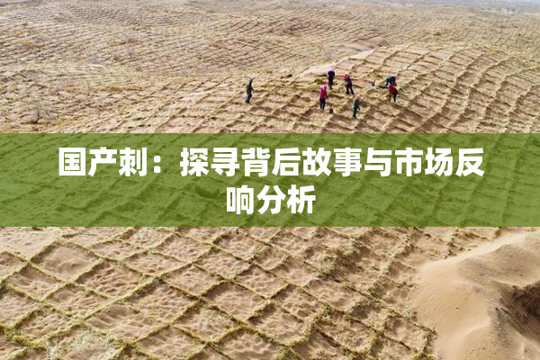国产刺：探寻背后故事与市场反响分析