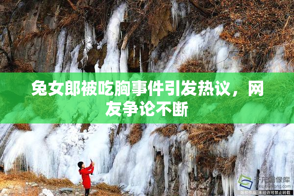 兔女郎被吃胸事件引发热议，网友争论不断