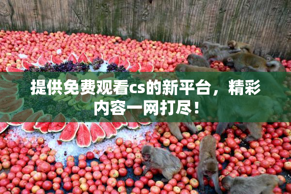 提供免费观看cs的新平台，精彩内容一网打尽！