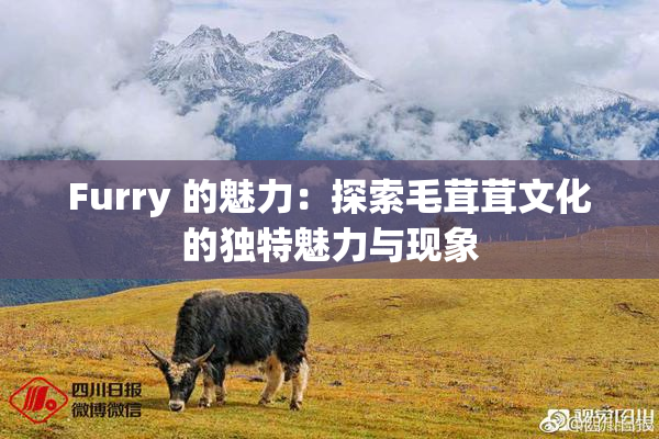 Furry 的魅力：探索毛茸茸文化的独特魅力与现象