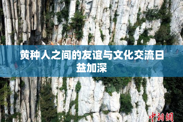 黄种人之间的友谊与文化交流日益加深
