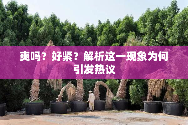 爽吗？好紧？解析这一现象为何引发热议