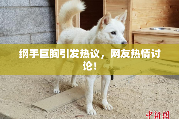 纲手巨胸引发热议，网友热情讨论！