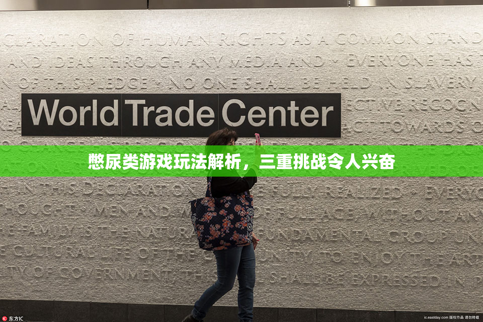 憋尿类游戏玩法解析，三重挑战令人兴奋