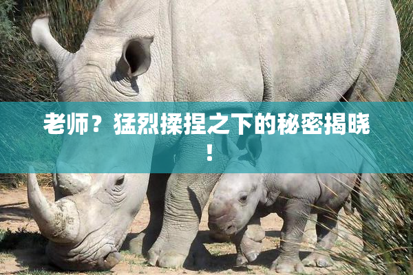 老师？猛烈揉捏之下的秘密揭晓！
