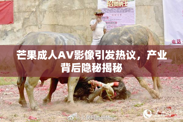 芒果成人AV影像引发热议，产业背后隐秘揭秘