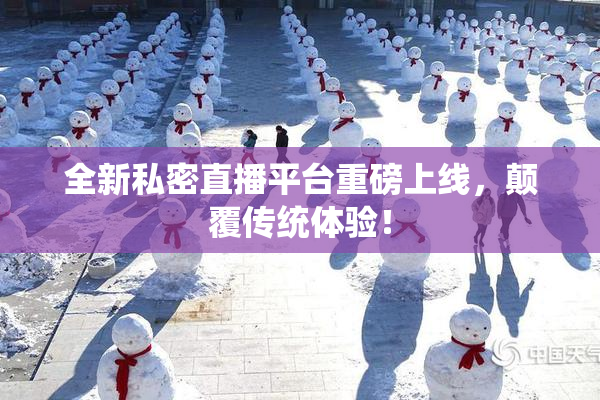 全新私密直播平台重磅上线，颠覆传统体验！