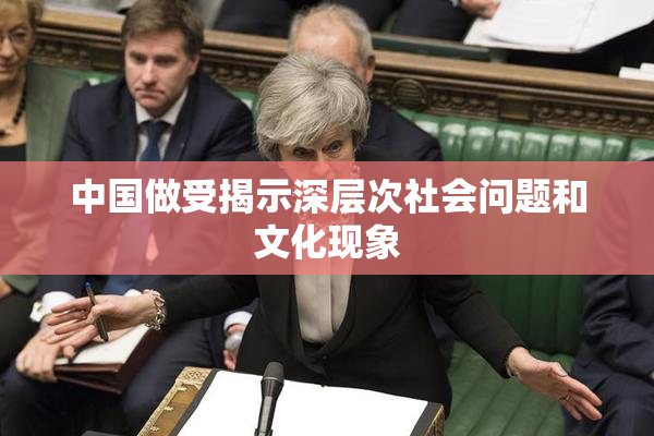 中国做受揭示深层次社会问题和文化现象