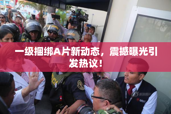一级捆绑A片新动态，震撼曝光引发热议！