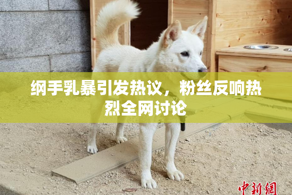 纲手乳暴引发热议，粉丝反响热烈全网讨论