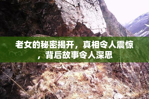 老女的秘密揭开，真相令人震惊，背后故事令人深思