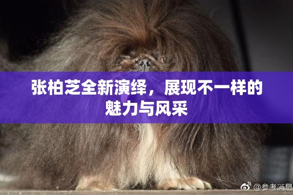 张柏芝全新演绎，展现不一样的魅力与风采