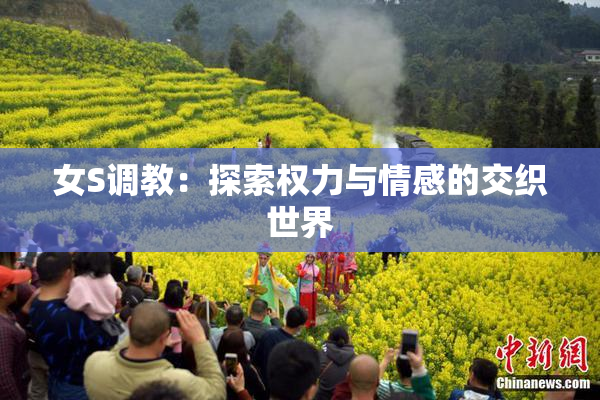 女S调教：探索权力与情感的交织世界