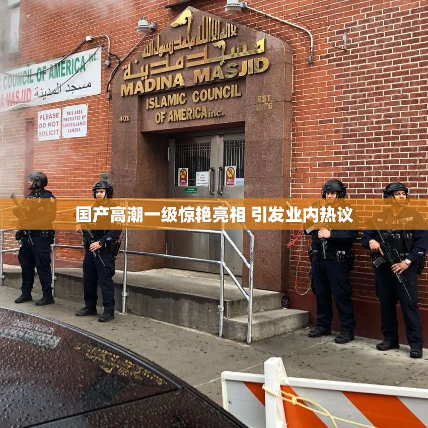 国产高潮一级惊艳亮相 引发业内热议