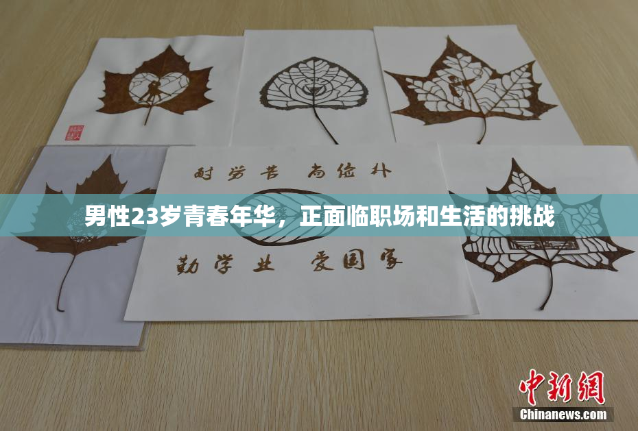 男性23岁青春年华，正面临职场和生活的挑战