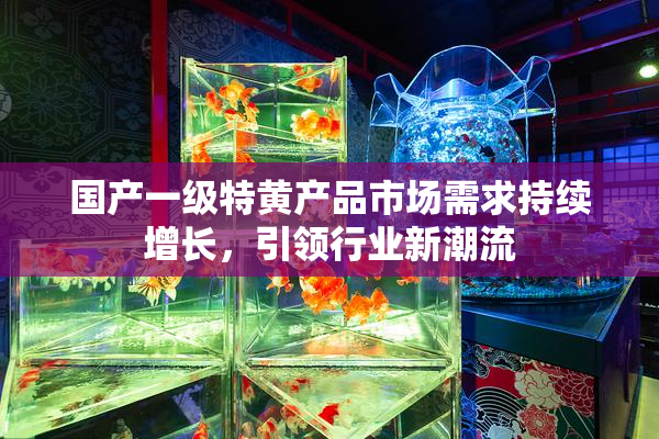 国产一级特黄产品市场需求持续增长，引领行业新潮流