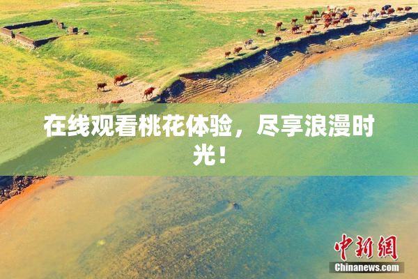 在线观看桃花体验，尽享浪漫时光！