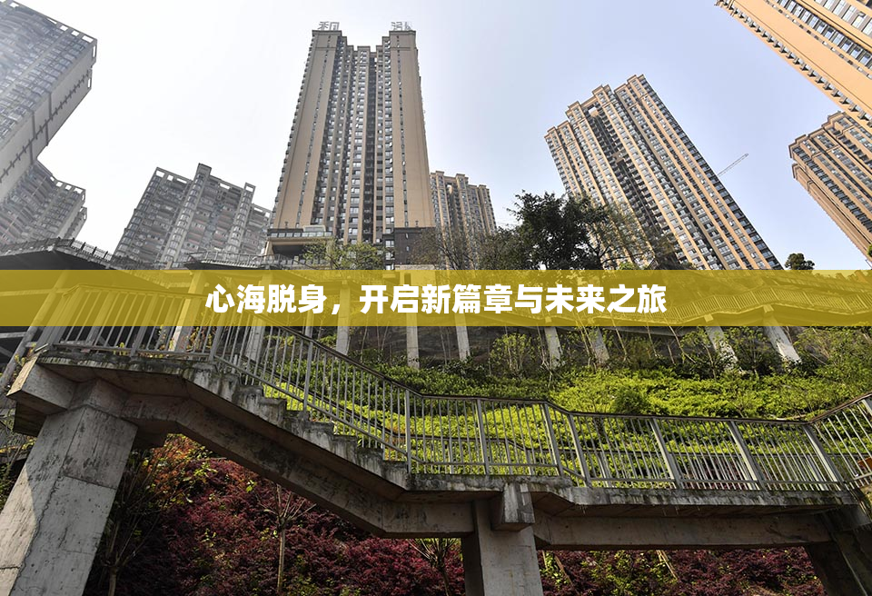 心海脱身，开启新篇章与未来之旅