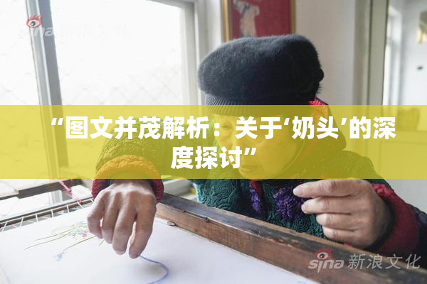 “图文并茂解析：关于‘奶头’的深度探讨”