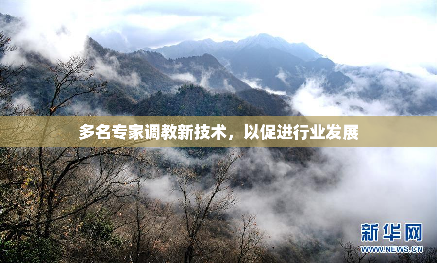多名专家调教新技术，以促进行业发展