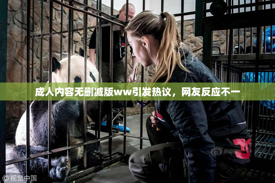 成人内容无删减版ww引发热议，网友反应不一