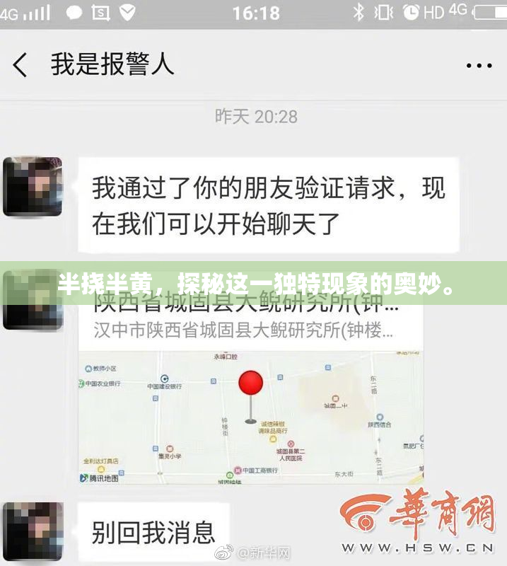半挠半黄，探秘这一独特现象的奥妙。