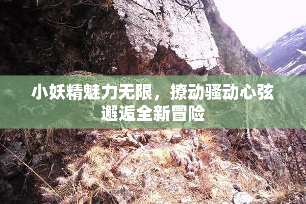 小妖精魅力无限，撩动骚动心弦邂逅全新冒险