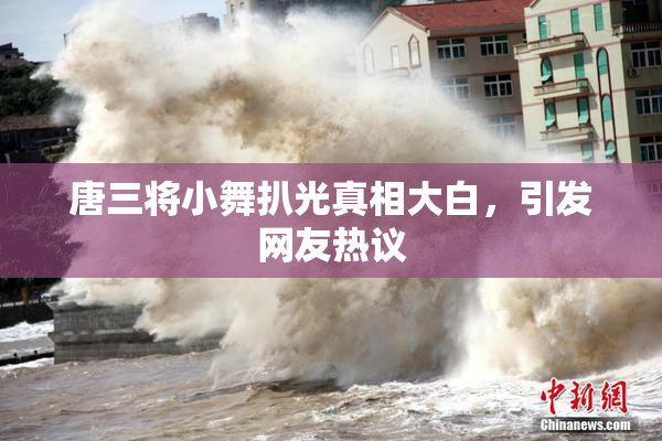 唐三将小舞扒光真相大白，引发网友热议