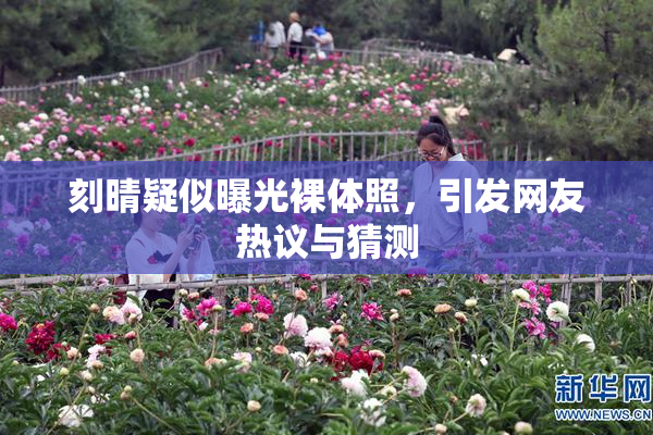 刻晴疑似曝光裸体照，引发网友热议与猜测