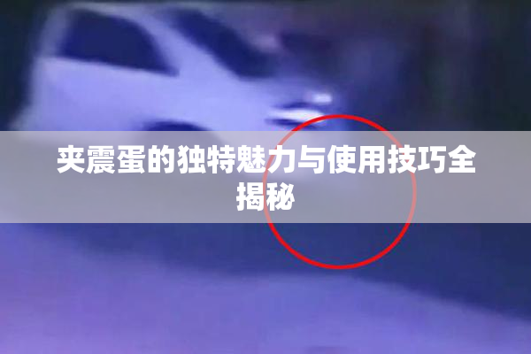 夹震蛋的独特魅力与使用技巧全揭秘