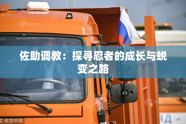 佐助调教：探寻忍者的成长与蜕变之路