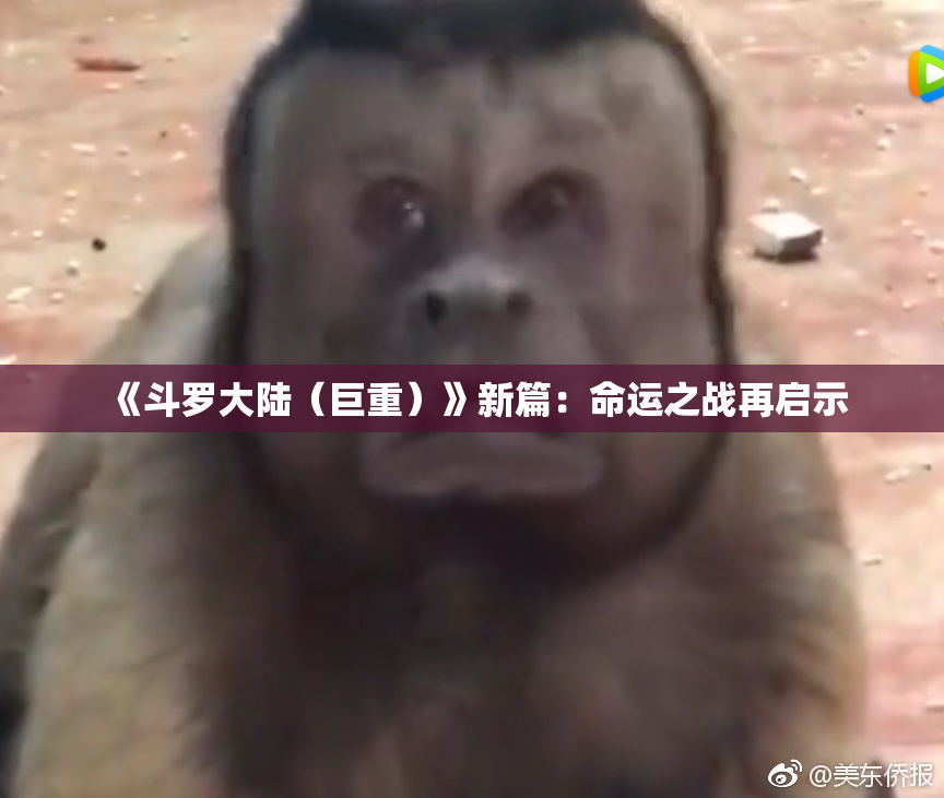 《斗罗大陆（巨重）》新篇：命运之战再启示