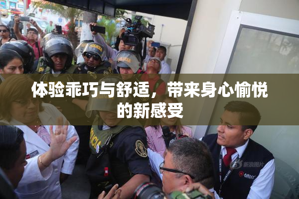 体验乖巧与舒适，带来身心愉悦的新感受