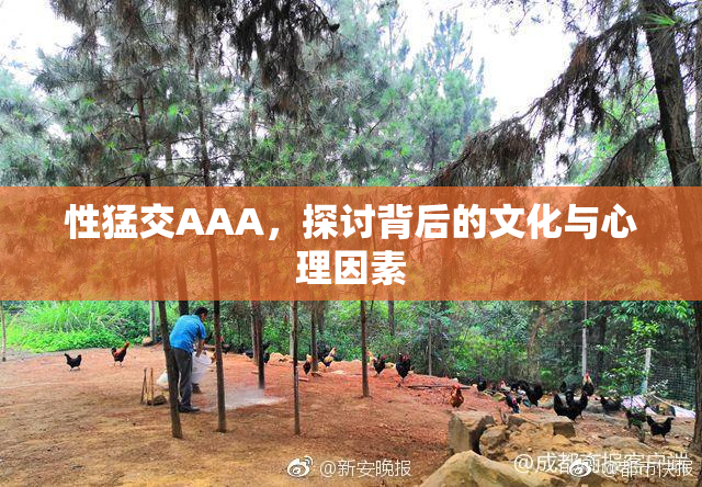 性猛交AAA，探讨背后的文化与心理因素
